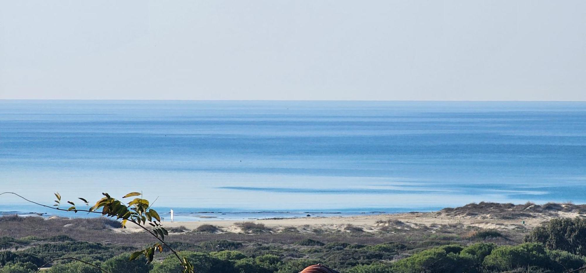 Cozy Seaview Glamping Caravan HaBonim Ngoại thất bức ảnh